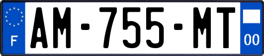 AM-755-MT