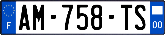 AM-758-TS