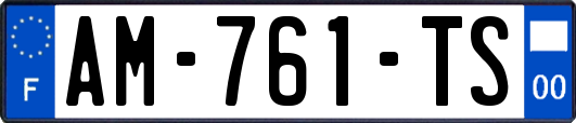 AM-761-TS