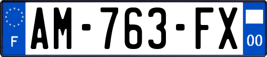 AM-763-FX