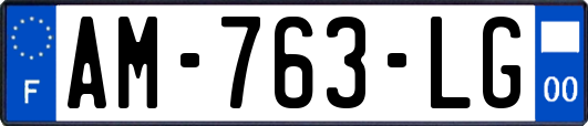 AM-763-LG