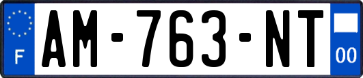 AM-763-NT
