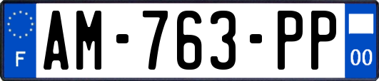 AM-763-PP