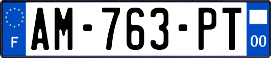 AM-763-PT