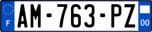 AM-763-PZ