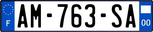 AM-763-SA