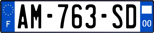 AM-763-SD