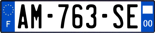 AM-763-SE