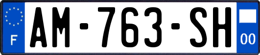 AM-763-SH