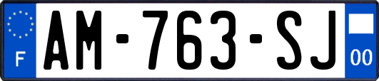 AM-763-SJ