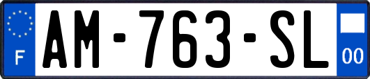 AM-763-SL