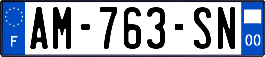 AM-763-SN