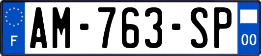 AM-763-SP