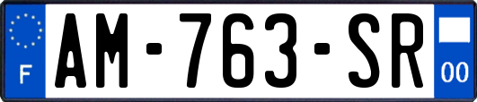 AM-763-SR