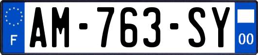AM-763-SY