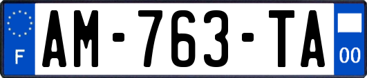 AM-763-TA
