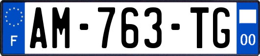 AM-763-TG