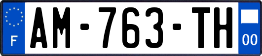 AM-763-TH
