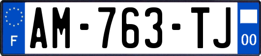 AM-763-TJ