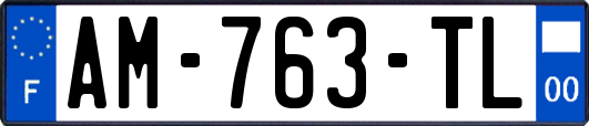 AM-763-TL
