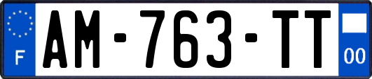 AM-763-TT