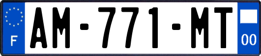 AM-771-MT