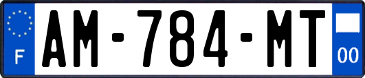 AM-784-MT