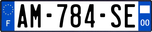 AM-784-SE