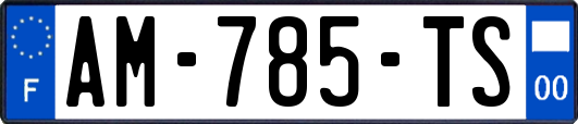 AM-785-TS