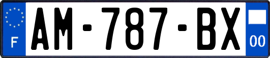 AM-787-BX