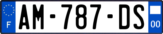 AM-787-DS