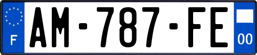 AM-787-FE