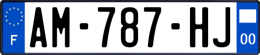 AM-787-HJ