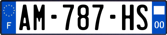 AM-787-HS