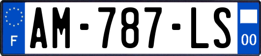 AM-787-LS
