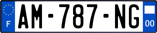 AM-787-NG