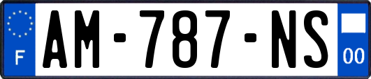 AM-787-NS