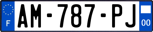 AM-787-PJ