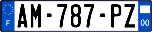 AM-787-PZ