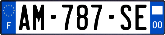 AM-787-SE