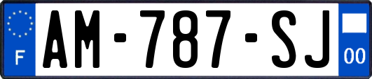 AM-787-SJ