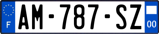 AM-787-SZ