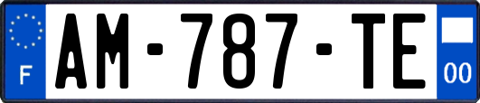 AM-787-TE