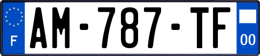 AM-787-TF