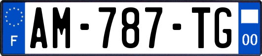 AM-787-TG