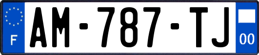 AM-787-TJ