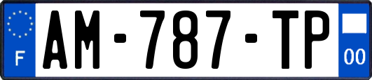 AM-787-TP