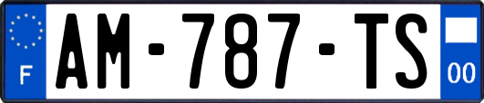AM-787-TS