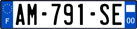 AM-791-SE