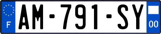AM-791-SY